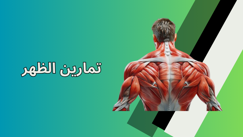 تمارين الظهر